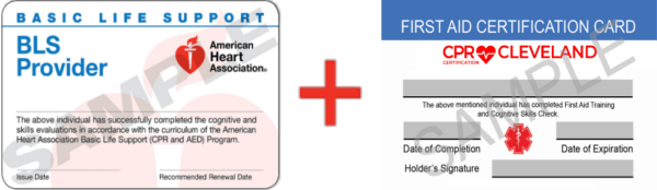 American Heart Association BLS CPR and AED Certification & First Aid Certification