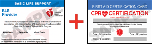 Sample American Heart Association AHA BLS CPR Card Certificaiton and First Aid Certification Card from CPR Certification Cleveland
