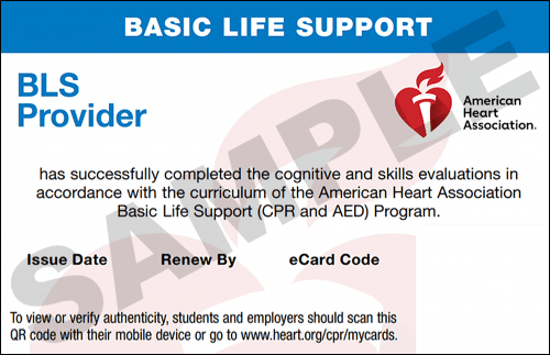 Sample American Heart Association AHA BLS CPR Card Certification from CPR Certification Cleveland