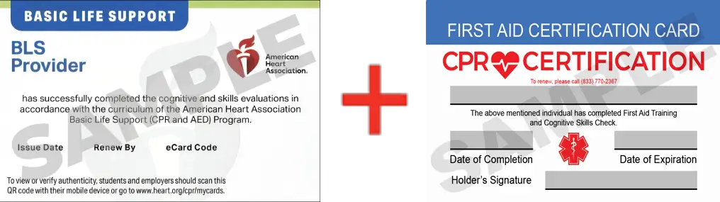 Sample American Heart Association AHA BLS CPR Card Certification and First Aid Certification Card from CPR Certification Cleveland